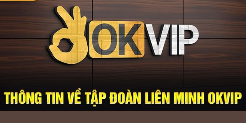 Đánh giá dịch vụ đa dạng và cuốn hút từ OKVIP